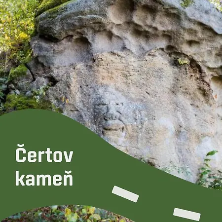 בית הארחה Alexander