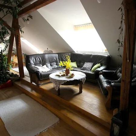 Alexander בית הארחה