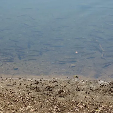 Alexander بيت ضيافة Habura